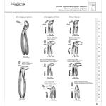 Dental Forceps - English Pattern